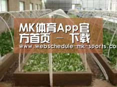 环境展示五