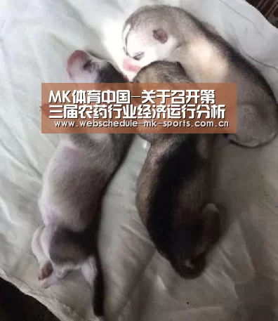 MK体育中国-关于召开第三届农药行业经济运行分析会(图1) MK体育中国