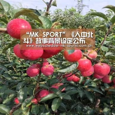 “MK SPORT”《人中北斗》故事背景设定公布 健次郎的千里寻妻之旅(图1) MK体育中国