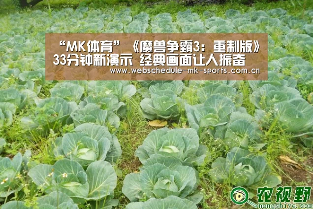 “MK体育”《魔兽争霸3:重制版》33分钟新演示 经典画面让人振奋(图3) MK SPORT