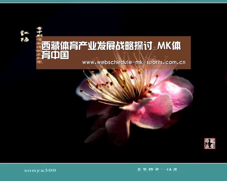 西藏体育产业发展战略探讨_MK体育中国(图1) MK体育官网