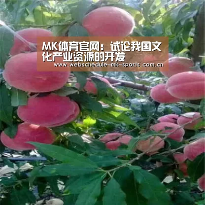 MK体育官网:试论我国文化产业资源的开发(图1) MK SPORT