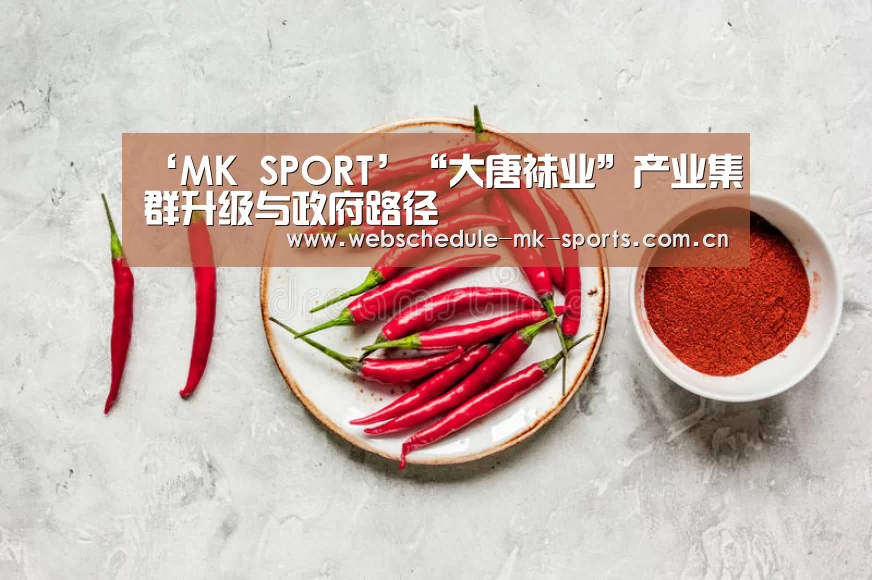 ‘MK SPORT’“大唐袜业”产业集群升级与政府路径(图1) MK体育