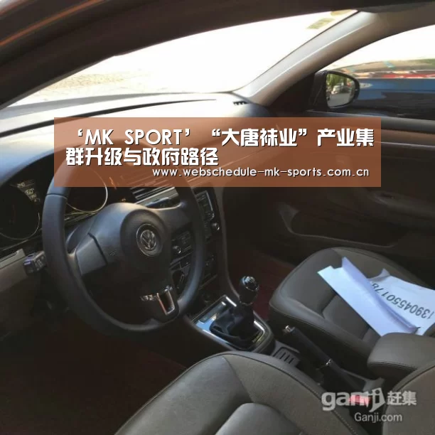 ‘MK SPORT’“大唐袜业”产业集群升级与政府路径(图2) MK体育